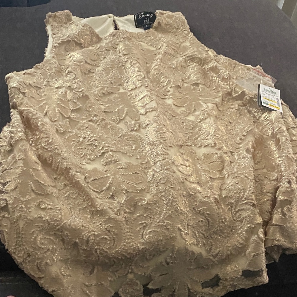 ECI Women's Beige Lace Blouse